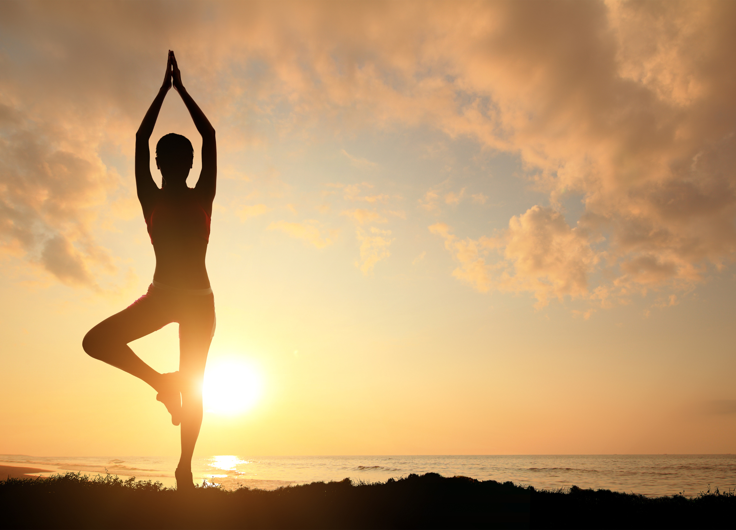 Joga
